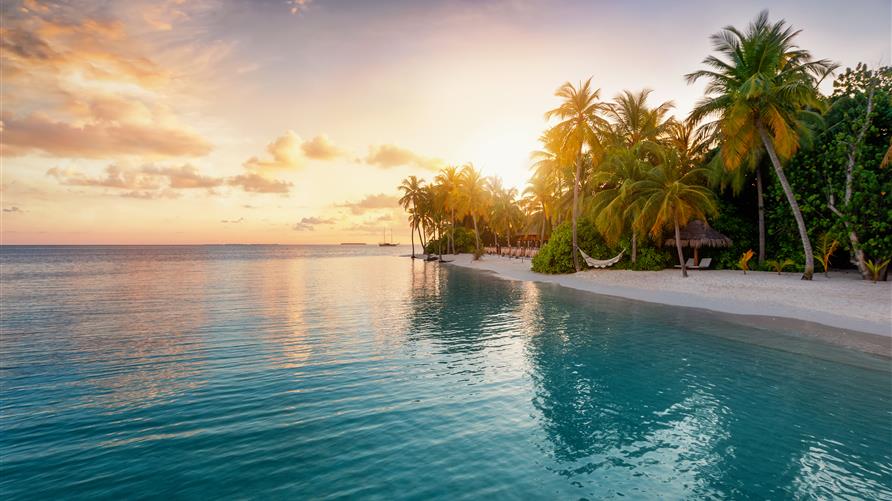 Where To Go Hilton Grand Vacations