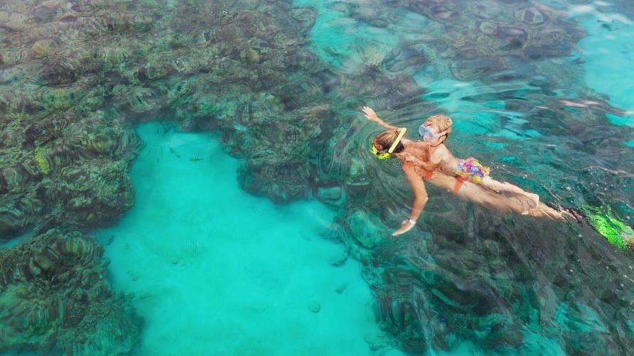 Overhead view, woman and child snorkeling, clear water, tropical scene. 
