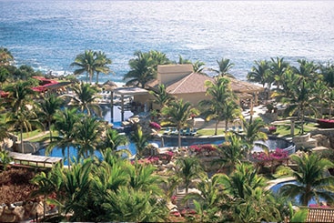 Palm Tree Caribbean style Resorts