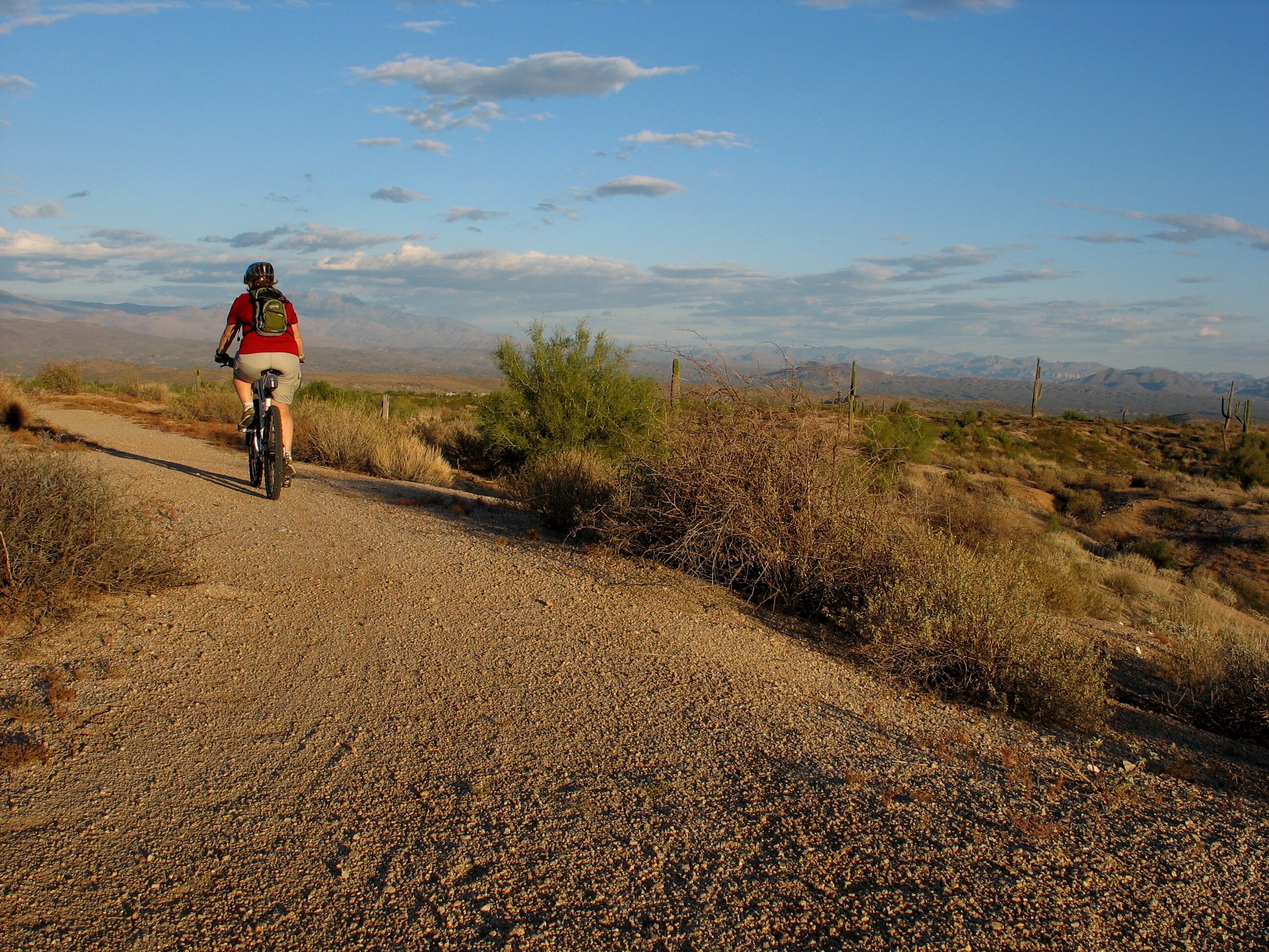 A man riding a bike in the American desert on an easy trail. 