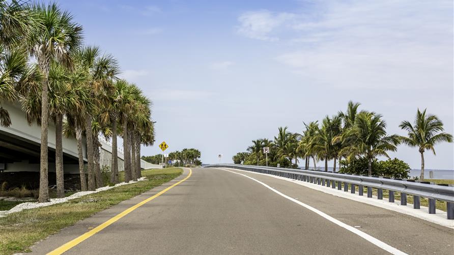 Palm tree lined road on a Florida road trip. 