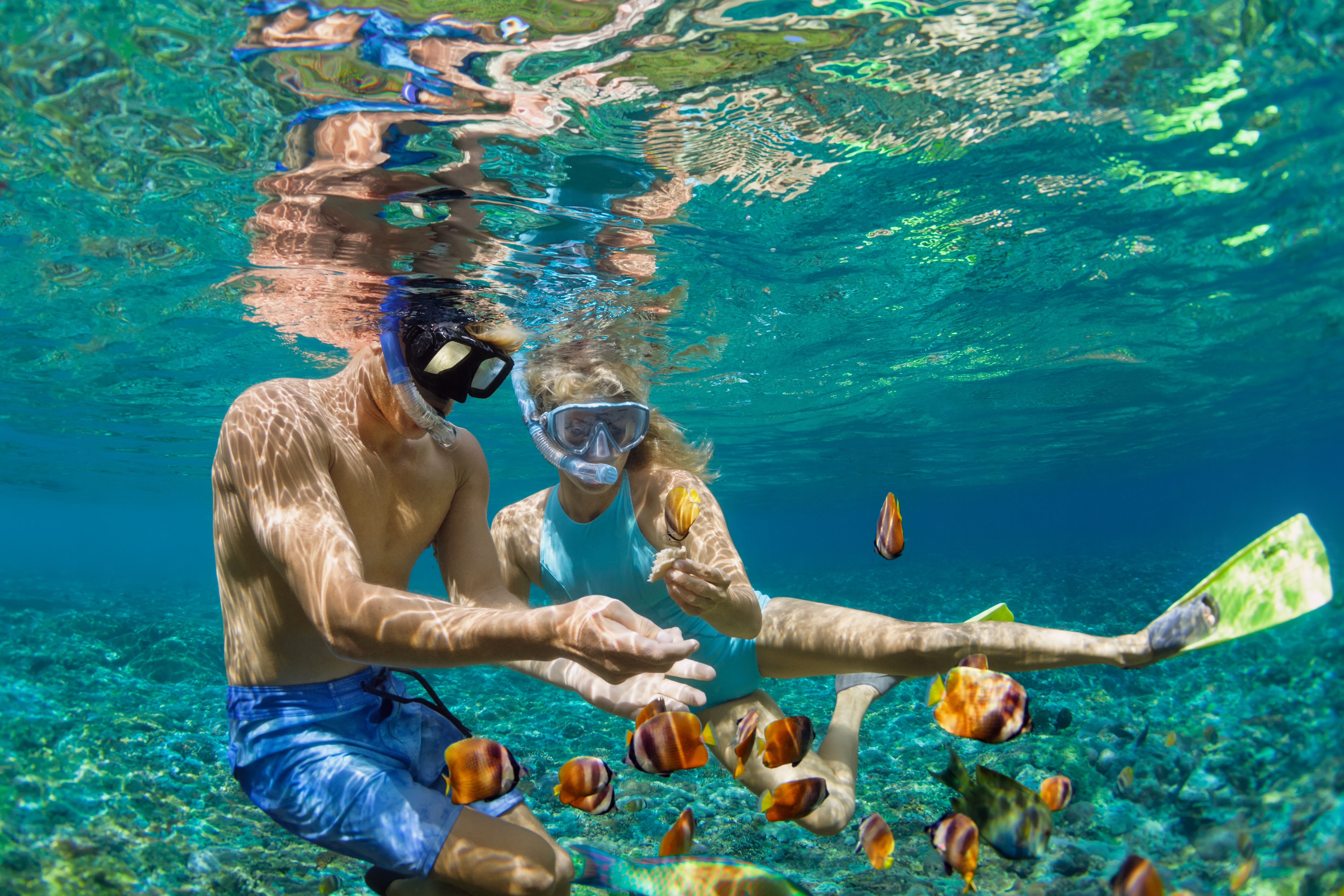 Add These 8 Big Island Activities to Your Shortlist