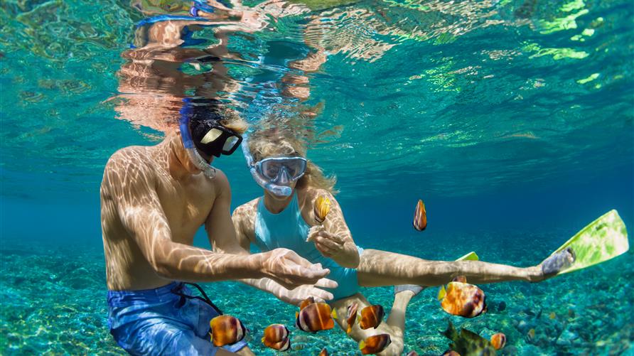 Young couple snorkeling in Hawaii. 