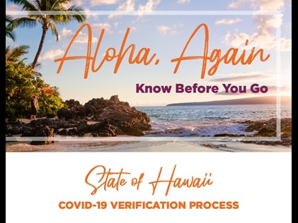 Hawaiian beach with the text "aloha, again, know before you go." Click for free printable.
