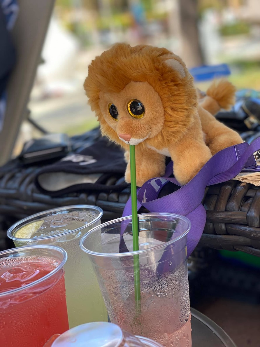 Little Louie the Lion enjoying drinks poolside at Hilton Grand Vacations at MarBrisa resort in Carlsbad, California. 