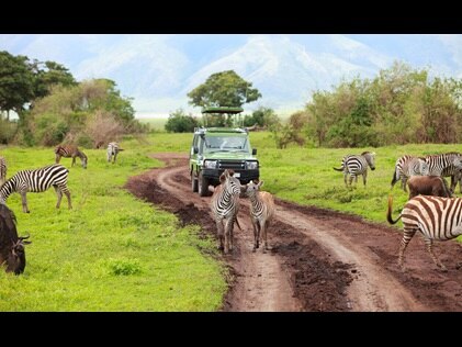 Green jeep taking tourists on a safari guided adventure.