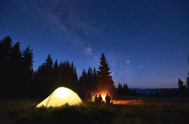 Group of people gathered around a camp fire under the star lit sky. 