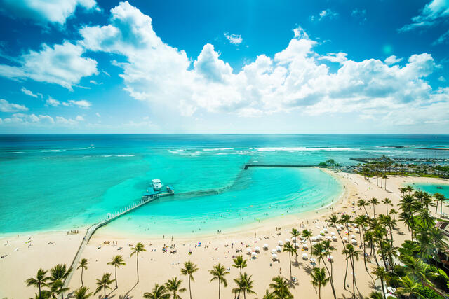 Aerial view of a palm tree lined beach in Hawaii and stunning turquoise waters. 