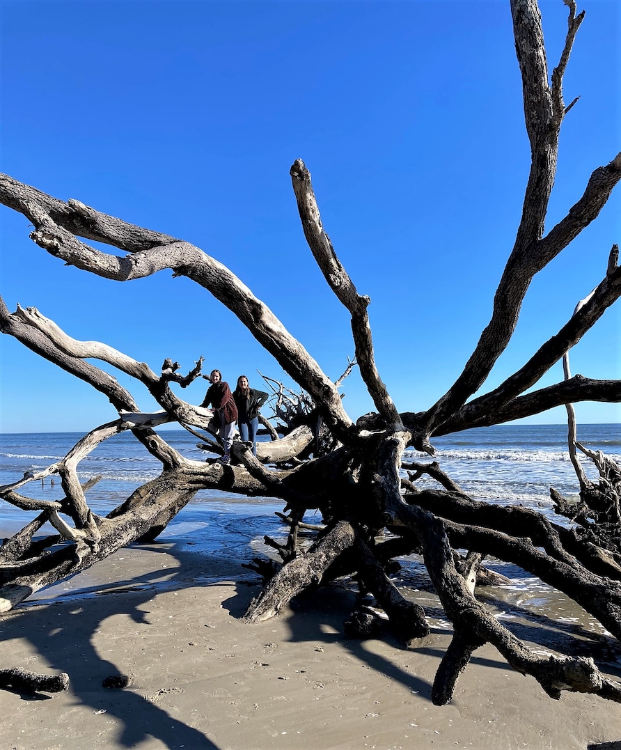 Travelers posing with giant tree root at Boneyard Beach at Botany Bay in Charleston, South Carolina. 