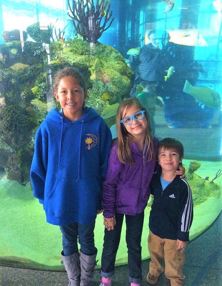 10 Coisas para Fazer com Filhos em Charleston - Hellotickets