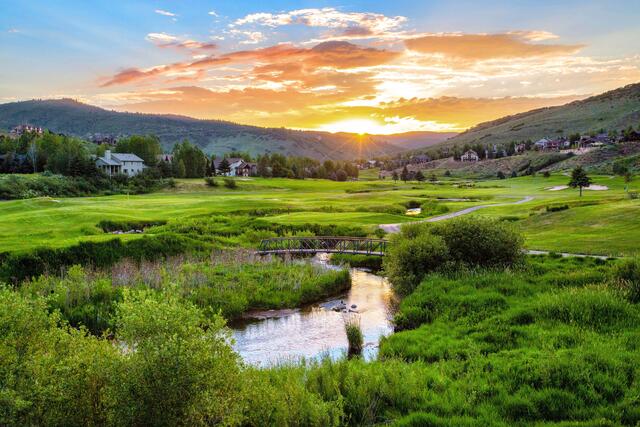 A lush mountain meadow in Park City, Utah in summertime.