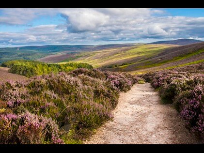 Beautiful, wild flower lined walking path with hills in the distance in the Scottish Highlands. 