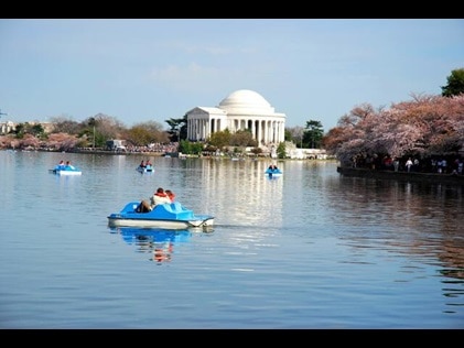 People enjoying paddleboats in Washington, D.C. with monuments in the distance. 