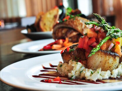 Close up shot of well plated gourmet food. 