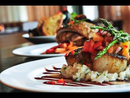 Close up shot of well plated gourmet food. 