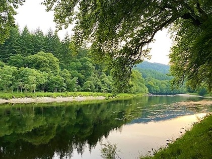A shot of trees and a river on-site at Hilton Grand Vacations at Dunkeld, in Scotland.