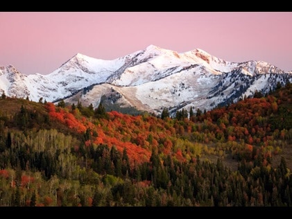 Snowcapped mountains nestled among fall colored trees and pink painted sunset skies in Park City, Utah. 