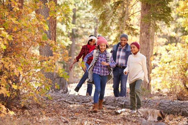 Family of four happily hiking through fall colored forest. 