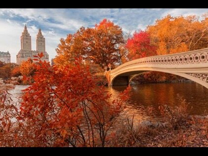 Stunning fall foliage in New York City.