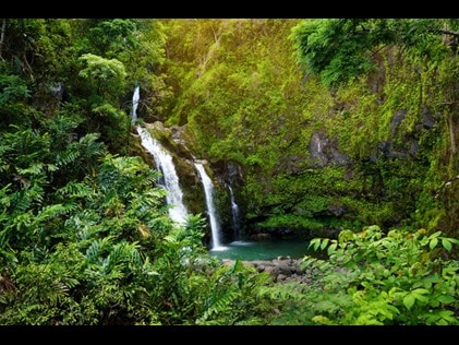 Side by side waterfalls amidst lush greenery Maui, Hawaii. 
