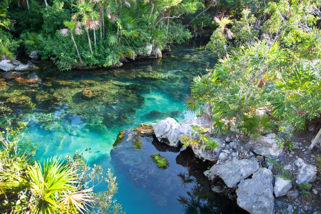Stunning shot of turquoise fresh water springs in Central Florida. 