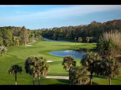 Aerial shot of Florida golf course. 