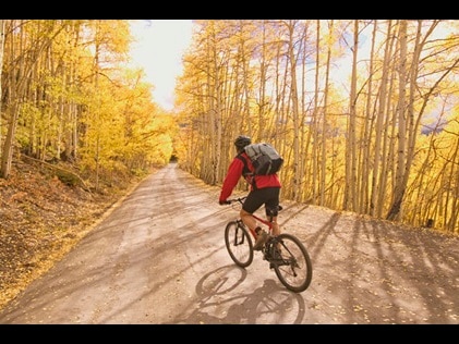 Cyclist on a fall foliage tree-lined mountain road. 