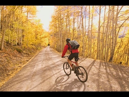 Cyclist on a fall foliage tree-lined mountain road.