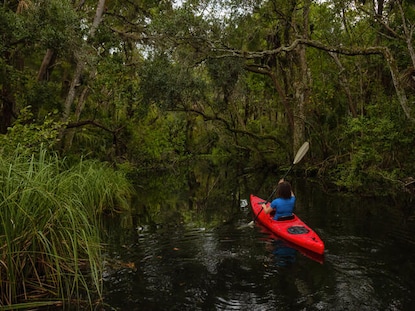 Woman kayaking through a tree-lined waterway in Charleston, South Carolina. 
