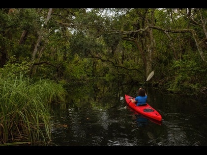 Woman kayaking through a tree-lined waterway in Charleston, South Carolina. 