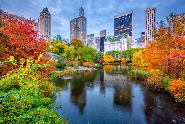 Stunning fall foliage in New York City with the skyline in the background.