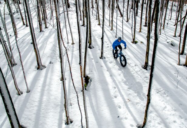 Aerial shot of man riding a fat tire bike in a snow covered forest. 