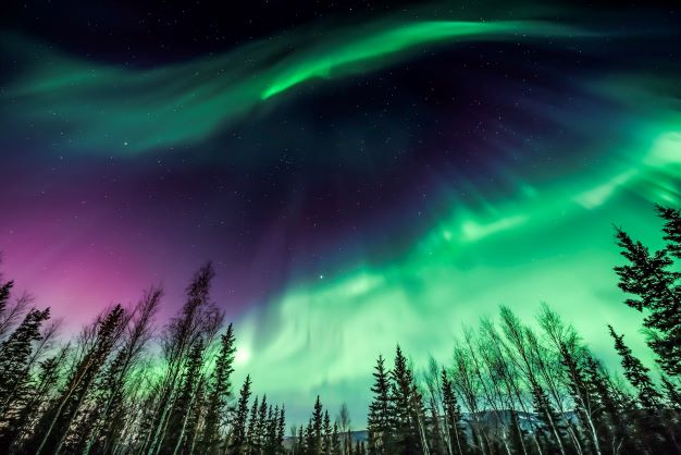 Overhead shot of the northern lights in Alaska in a gorgeous display of green and purple. 