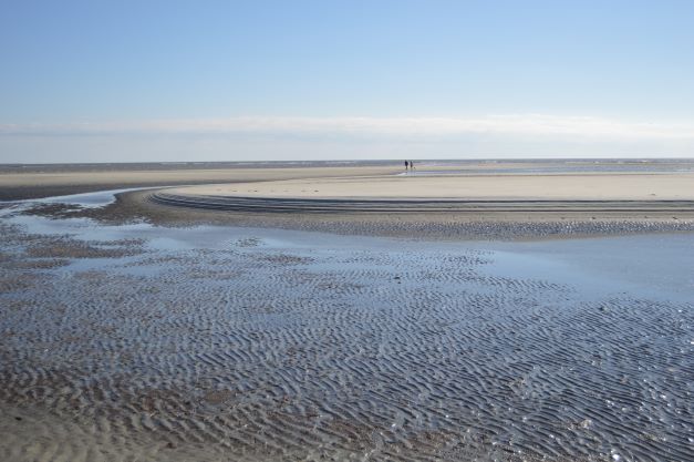 Travelers on the horizon of a St. Simons, Georgia inlet at low tide. 