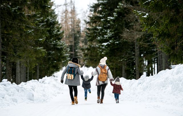 Rear view of a family of four walking happily down an evergreen tree-lined and snow covered road. 