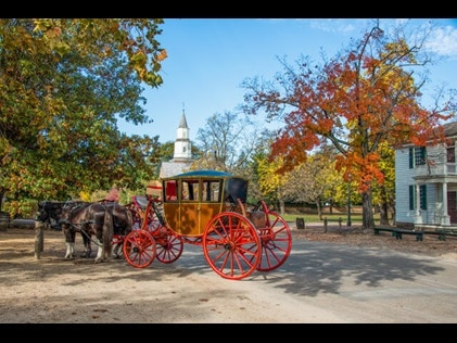 Picturesque image of a horse drawn carriage and fall foliage in Colonial Williamsburg, Virginia. 