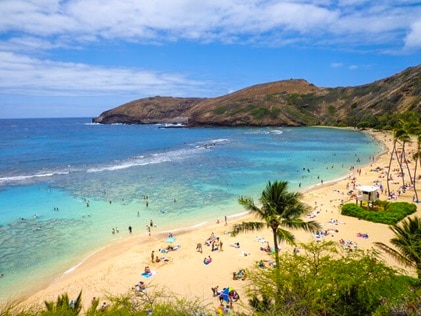 Aerial shot of beach goers on a Hawaii picturesque beach.