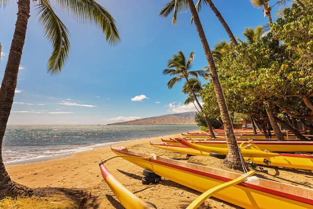 Beautiful canoe-lined shoreline with palm trees, Maui, Hawaii.
