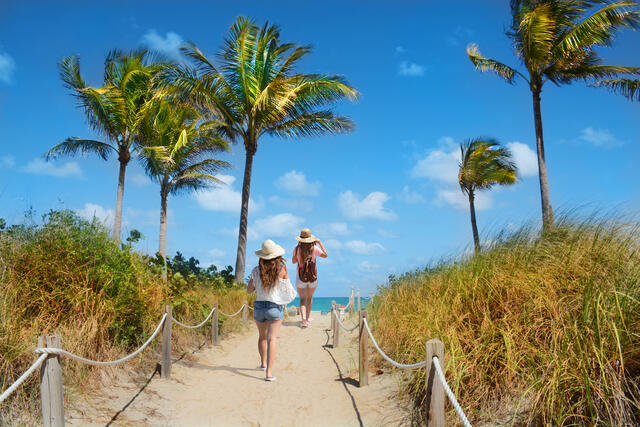 Two women wearing big beach hats following a palm tree-lined path onto a South Florida beach.