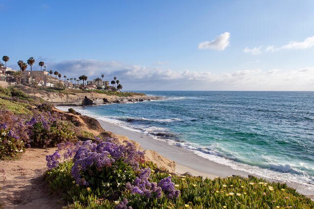 Aerial shot of Carlsbad coastline with beautiful wild flower-lined cliffs, Carlsbad, California. 