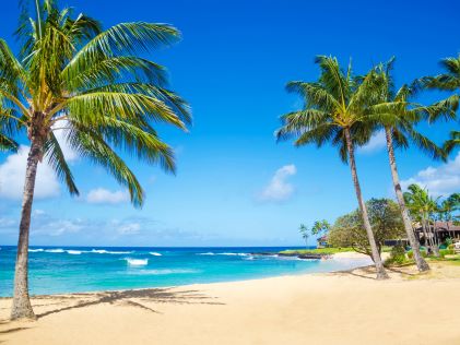 Palm trees along Poipu Beach in Kauai, Hawaii