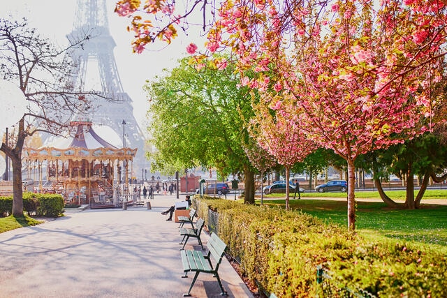 Stunning spring foliage, Eiffel Tower in distance, Paris, France.