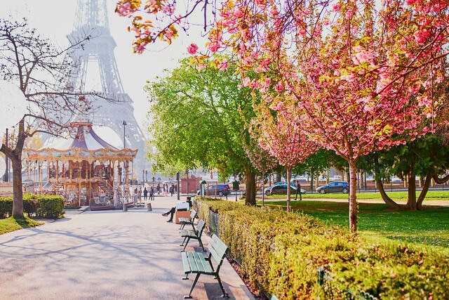 Stunning spring foliage, Eiffel Tower in distance, Paris, France.