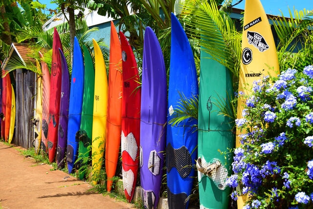 Colorful surfboards lined up, Maui, Hawaii. 