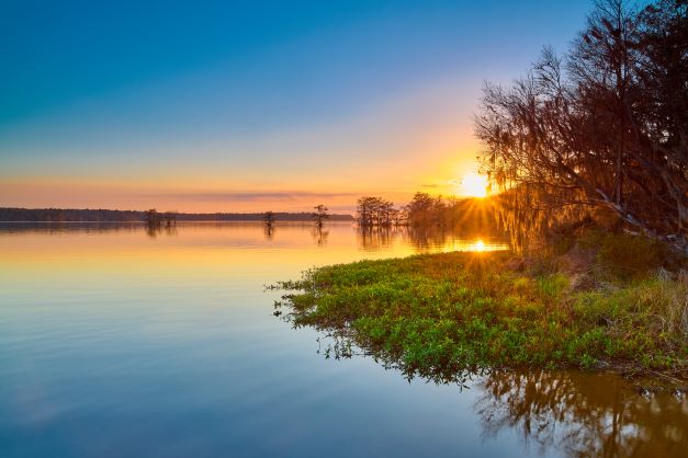 Sunrise over Florida lake.