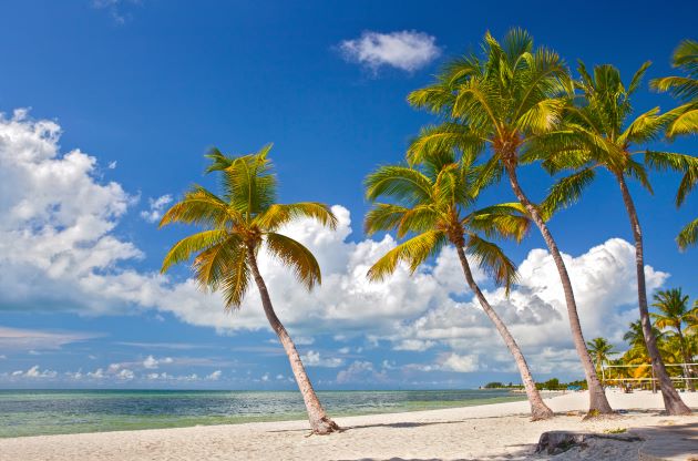A tropical beach in Key West, Florida