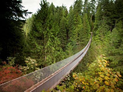 Capilano Suspension Bridge and verdant forest near Vancouver, British Columbia, Canada