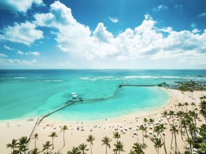 Aerial view of beach and ocean of Hawaii