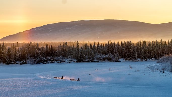 Gorgeous snow covered panorama including dog sled team, sun sinking behind mountains in the distance, Breckenridge, Colorado. 