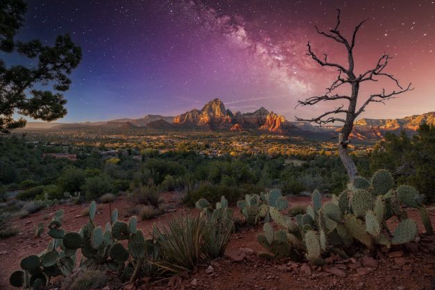 The desert near Sedona, Arizona at night. The sky is a gradient of dark blue and dark purple with thousands of stars. There are desert plants and a withered tree, and visible in the distance is a mountain. 